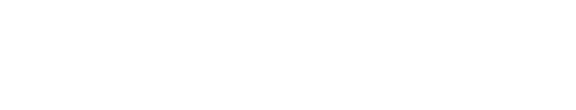 Adam Phillips' Logo spelled out using a sans-serif font